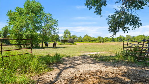 Damon 1-story, 2-bed 855 County Road 15-idx