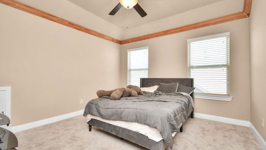 Cypress 2-story, 5-bed 20319 Everwood Green Lane-idx