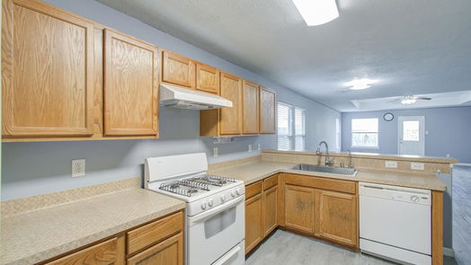 Cypress 2-story, 4-bed 19022 Prairie Bluff Drive-idx