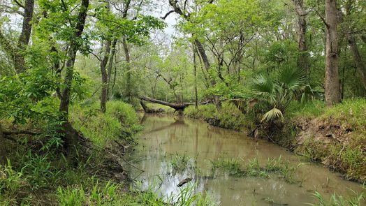 East Bernard null-story, null-bed 0 County Rd 274-idx