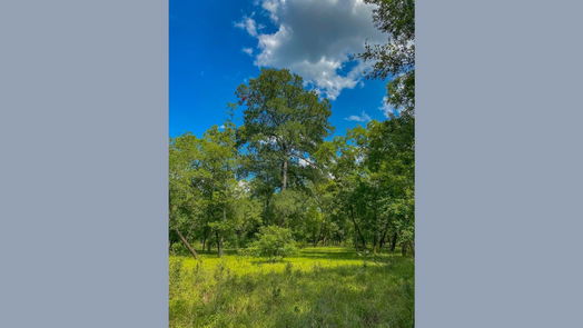 East Bernard 2-story, 3-bed 4951 Baldwin Drive-idx