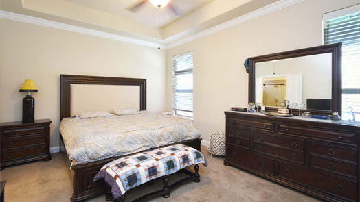 Fulshear 1-story, 3-bed 4202 Churchill Place Court-idx