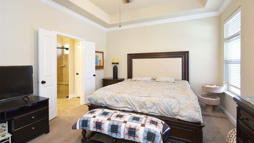 Fulshear 1-story, 3-bed 4202 Churchill Place Court-idx