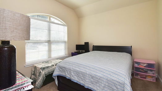 Fulshear 1-story, 3-bed 4202 Churchill Place Court-idx