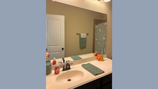 Fulshear 1-story, 3-bed 4202 Churchill Place Court-idx