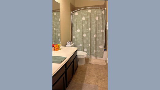 Fulshear 1-story, 3-bed 4202 Churchill Place Court-idx