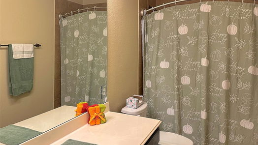 Fulshear 1-story, 3-bed 4202 Churchill Place Court-idx