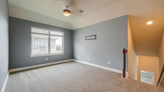 Fulshear null-story, 4-bed 4119 Addison Ranch Lane-idx