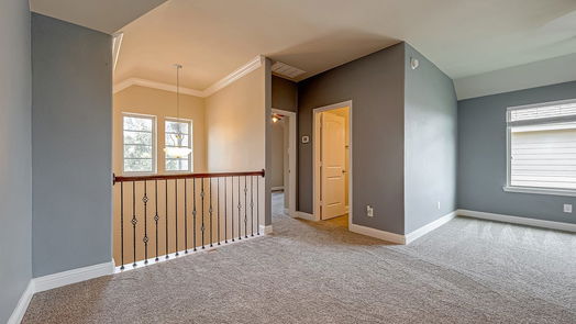 Fulshear null-story, 4-bed 4119 Addison Ranch Lane-idx