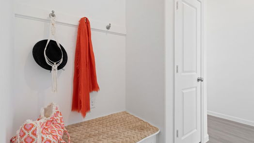 Fulshear 2-story, 3-bed 5715 Foggy Vine Court-idx