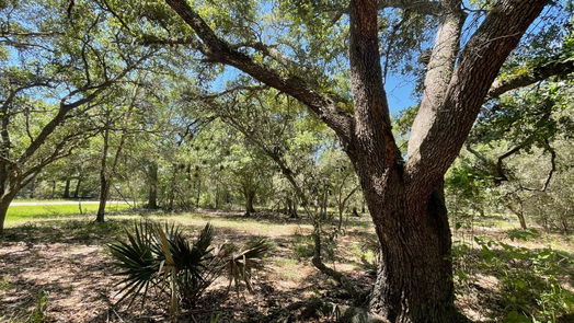 Garwood null-story, null-bed Lot 3 Sandy Road-idx