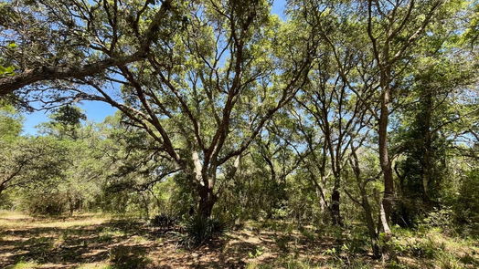 Garwood null-story, null-bed Lot 3 Sandy Road-idx