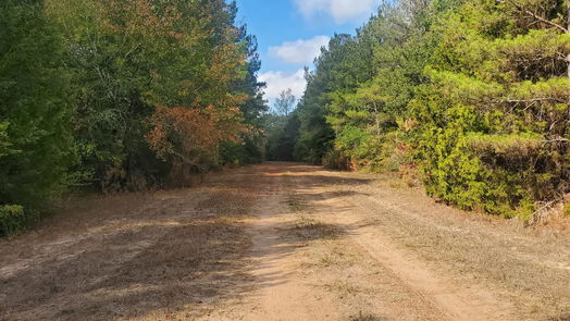 Hempstead null-story, null-bed Lot 33 Owl Drive-idx