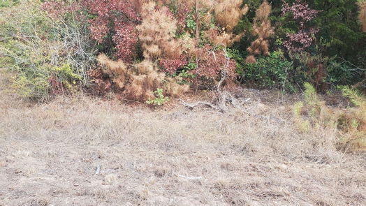 Hempstead null-story, null-bed Lot 33 Owl Drive-idx