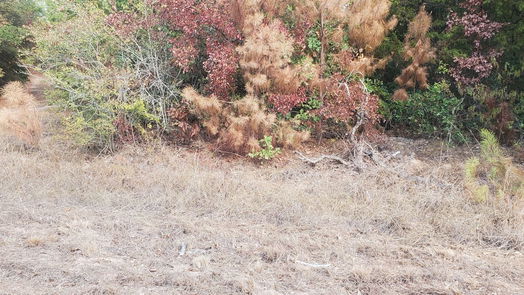 Hempstead null-story, null-bed Lot 33 Owl Drive-idx