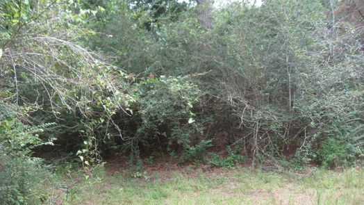 Hempstead null-story, null-bed Lot 16 Mocking Bird-idx