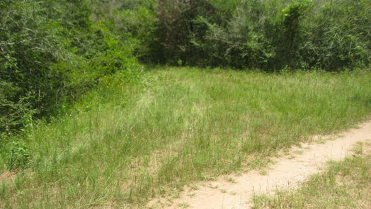Hempstead null-story, null-bed Lot 16 Mocking Bird-idx