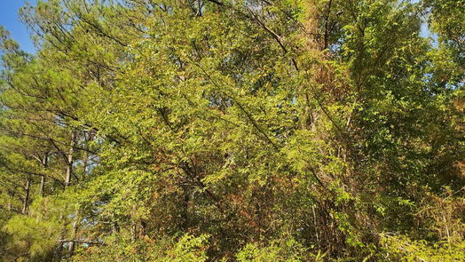 Hempstead null-story, null-bed Lot 33 Drake Lane-idx