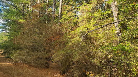 Hempstead null-story, null-bed Lot 33 Drake Lane-idx