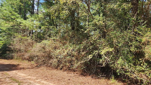 Hempstead null-story, null-bed Lot 33 Drake Lane-idx
