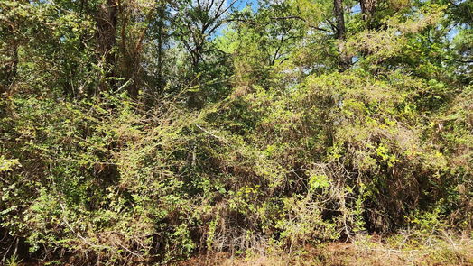 Hempstead null-story, null-bed Lot 33 Drake Lane-idx