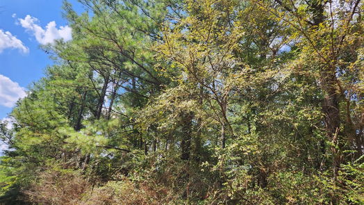 Hempstead null-story, null-bed Lot 33 Drake Lane-idx