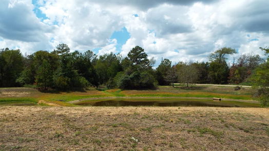 Hempstead null-story, null-bed Lot 33 Drake Lane-idx