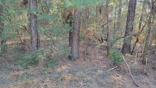 Hempstead null-story, null-bed 00000 Sioux Drive Lot 16637 Drive-idx