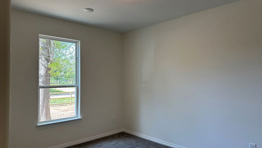 Hempstead 1-story, 3-bed 25256 Shannon Street-idx