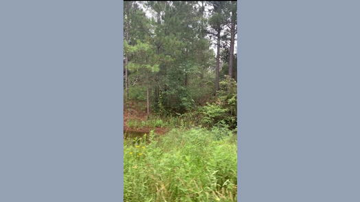 Hempstead null-story, null-bed 0 Fern Drive-idx