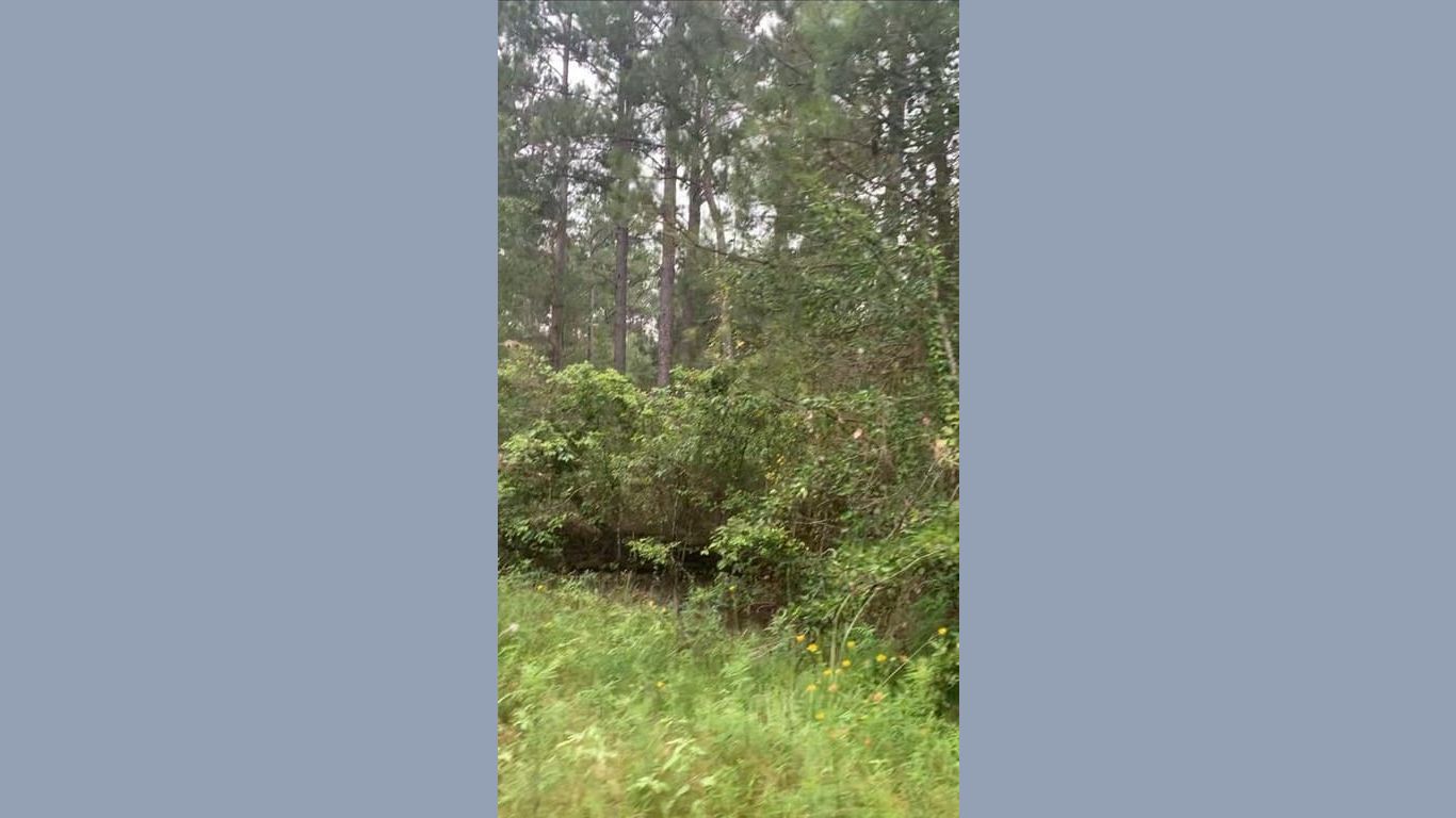 Hempstead null-story, null-bed 00 Fern Drive-idx