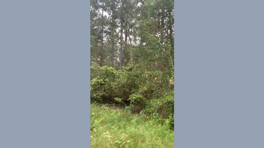 Hempstead null-story, null-bed 00 Fern Drive-idx