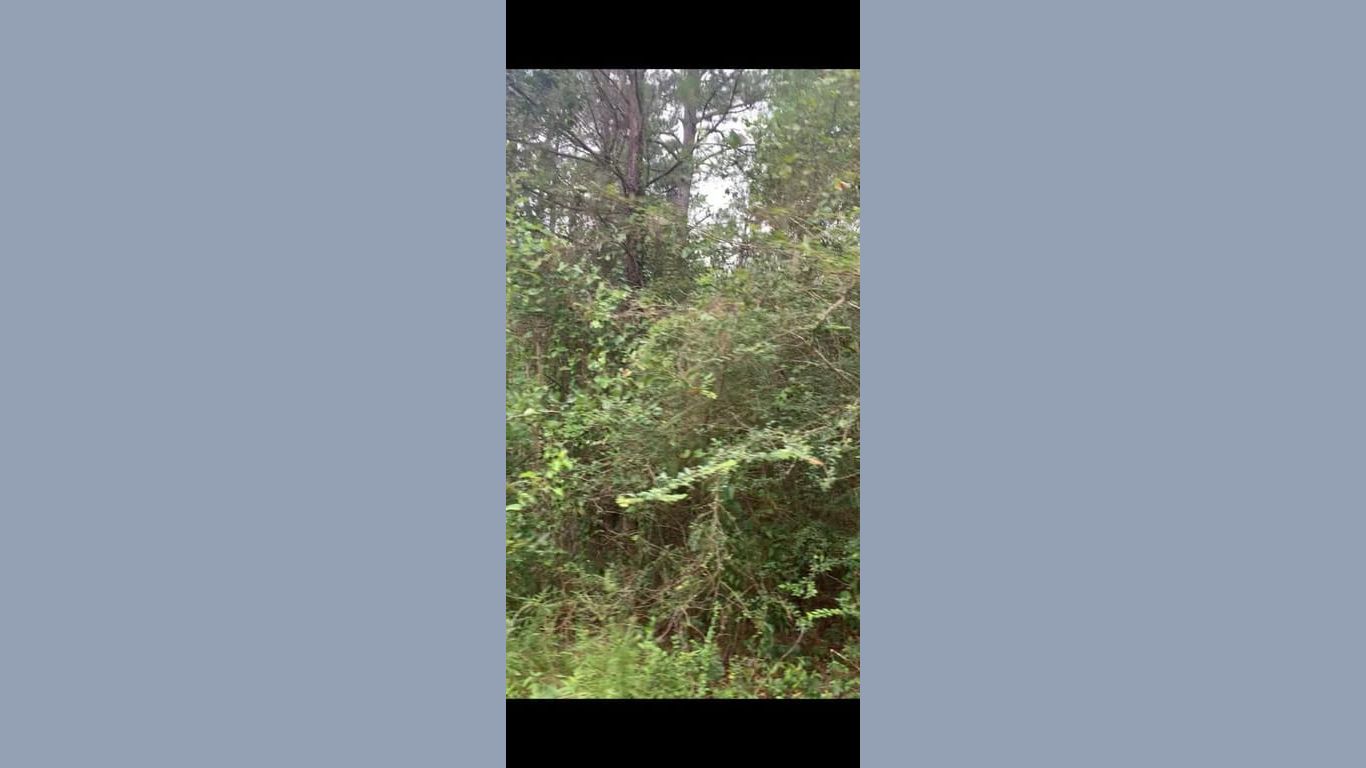 Hempstead null-story, null-bed 000 Fern Drive-idx