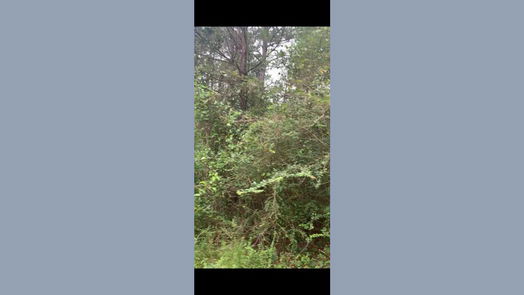 Hempstead null-story, null-bed 000 Fern Drive-idx