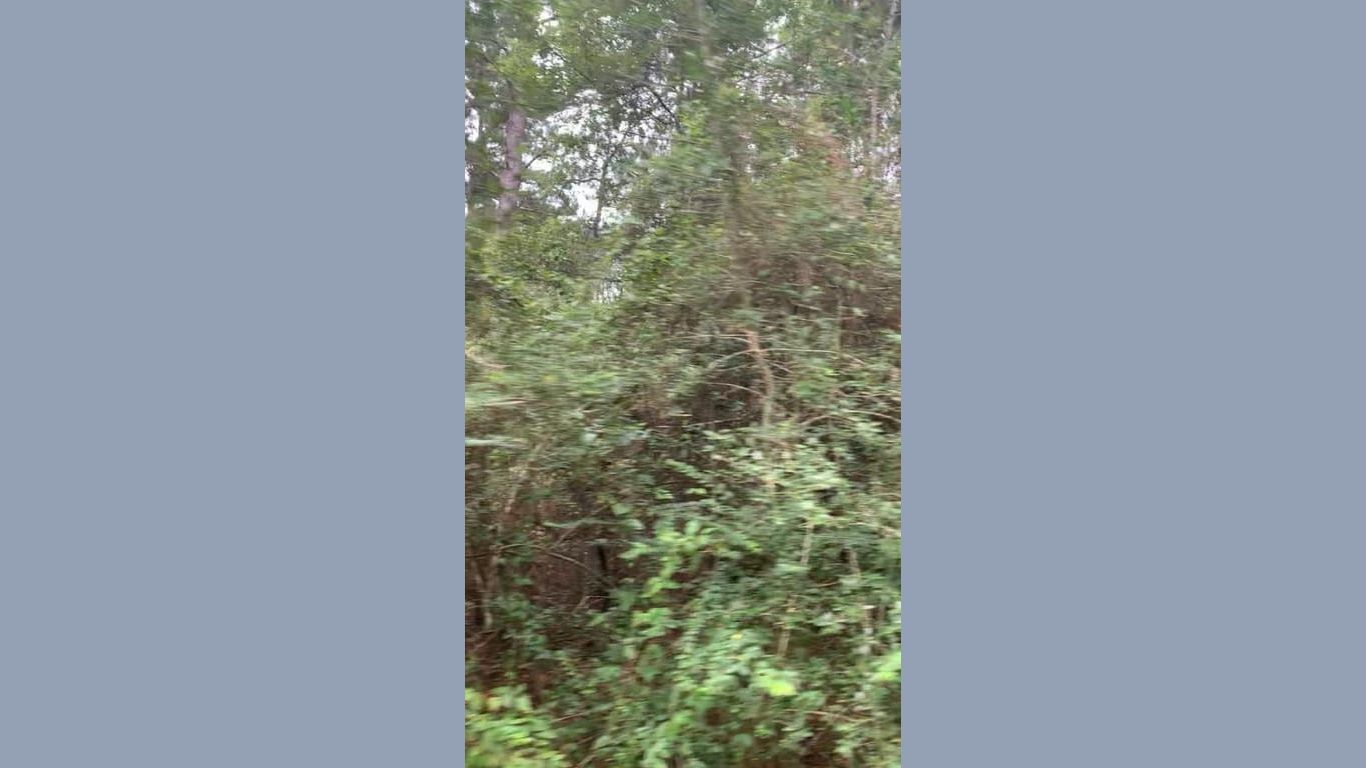 Hempstead null-story, null-bed 0000 Fern Drive-idx