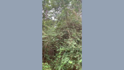 Hempstead null-story, null-bed 0000 Fern Drive-idx