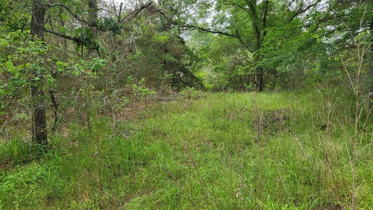 Hempstead null-story, null-bed 32363 Fm 1736-idx