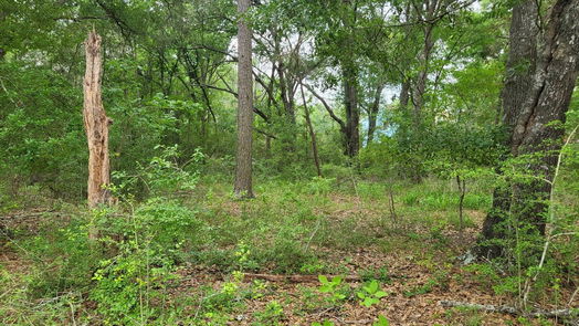 Hempstead null-story, null-bed 32363 Fm 1736-idx