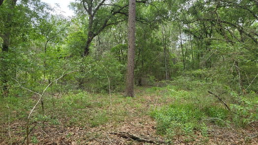 Hempstead null-story, null-bed 32363 Fm 1736-idx