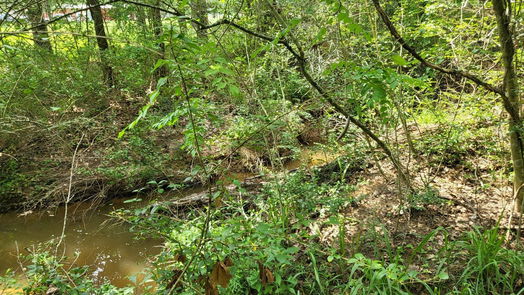 Hempstead null-story, null-bed 32363 Fm 1736-idx