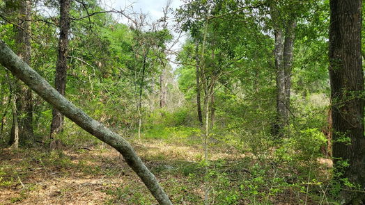 Hempstead null-story, null-bed 32363 Fm 1736-idx