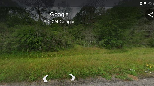 Hempstead null-story, null-bed 32363 Fm 1736-idx