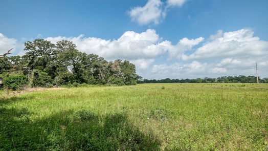 Hempstead 1-story, null-bed 34444 FM 1488 Road-idx