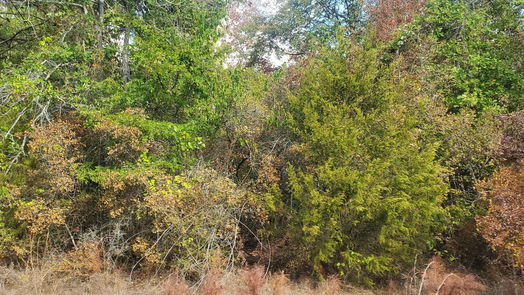 Hempstead null-story, null-bed Lot 5 Jackrabbit Drive-idx