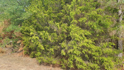 Hempstead null-story, null-bed Lot 5 Jackrabbit Drive-idx