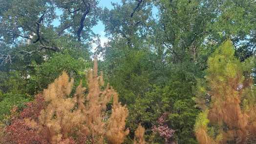 Hempstead null-story, null-bed Lot 5 Jackrabbit Drive-idx
