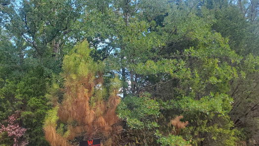 Hempstead null-story, null-bed Lot 5 Jackrabbit Drive-idx