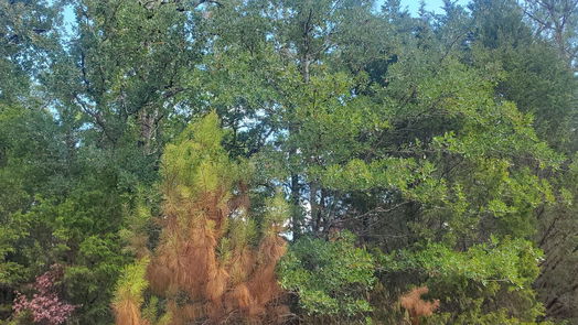 Hempstead null-story, null-bed Lot 5 Jackrabbit Drive-idx