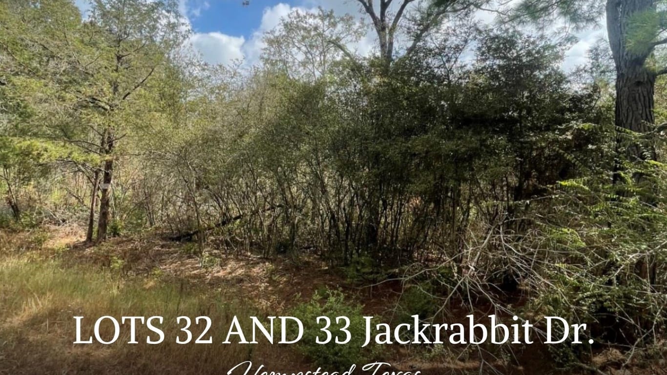 Hempstead null-story, null-bed . LOTS 32 AND 33 JACKRABBIT Drive-idx