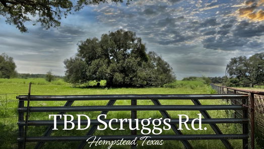 Hempstead null-story, null-bed TBD 0 Scruggs Road-idx